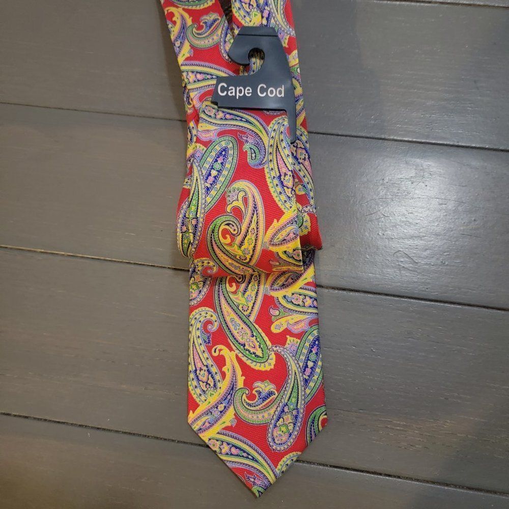 Cape Cod Multicolor Neckwear Paisley Pattern Tie For Men's
